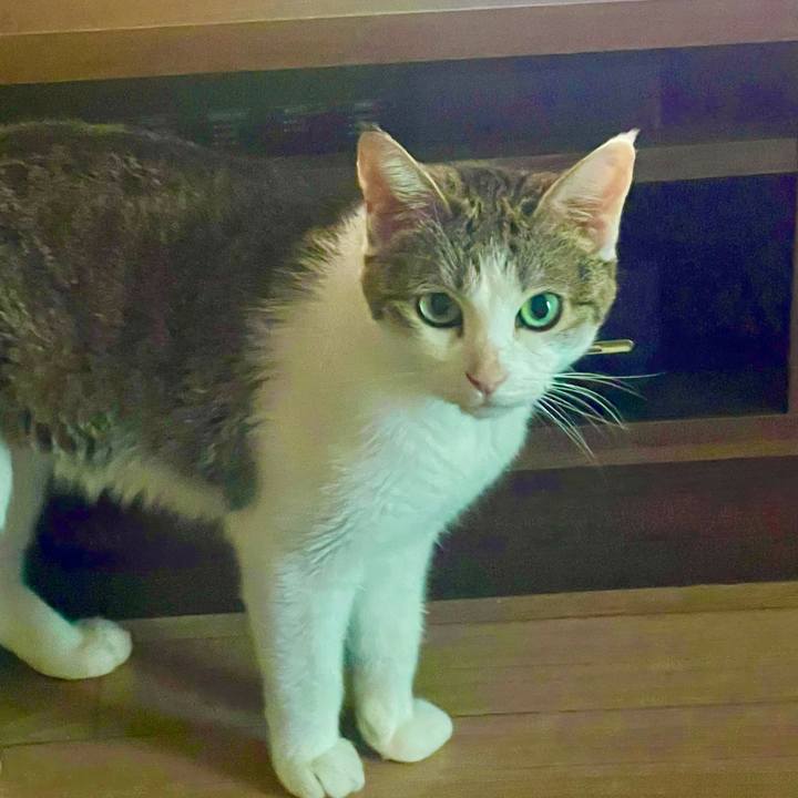 F75c81f1 e5c6 4fde 8aaa 7474ff17aabd 1628023393585