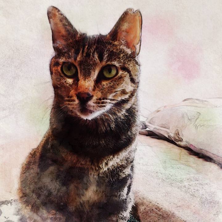 F75cc40b ed1f 40eb 9653 ecc08a1d5925 1587890817595