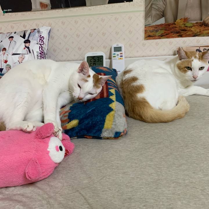 F75d33a9 2b4c 4404 add9 a56820dbfd81 1621700972375