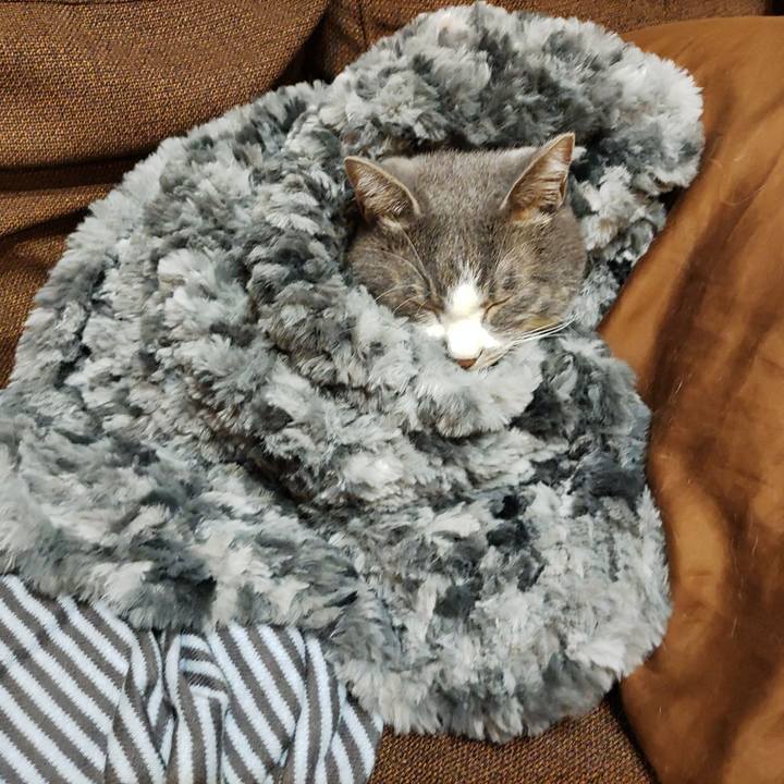 F75d3789 c8a2 481b 9888 7af52e4beb4b 1670319260965