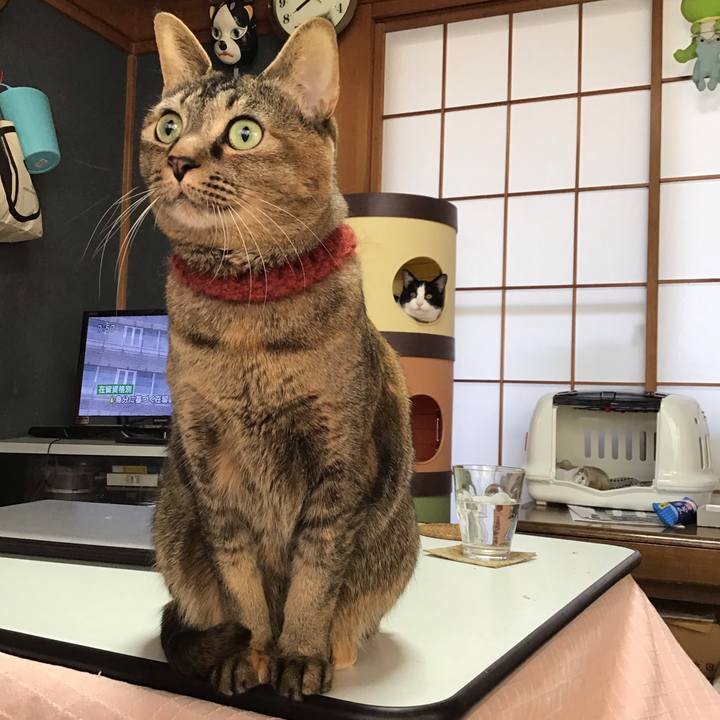 F75d4a8f d896 4c45 a237 df74923e5839 1644362008338