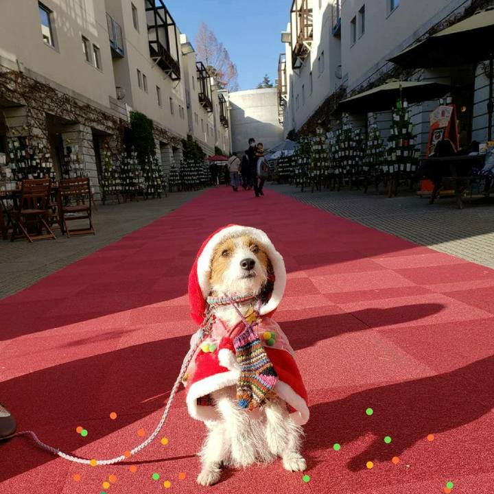 F75d6937 314c 44cb a075 964d276e5257 1608850938505