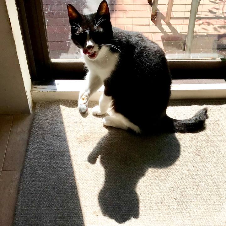 F75d7f90 e02e 4180 aa87 555d74eda6c8 1552569055390