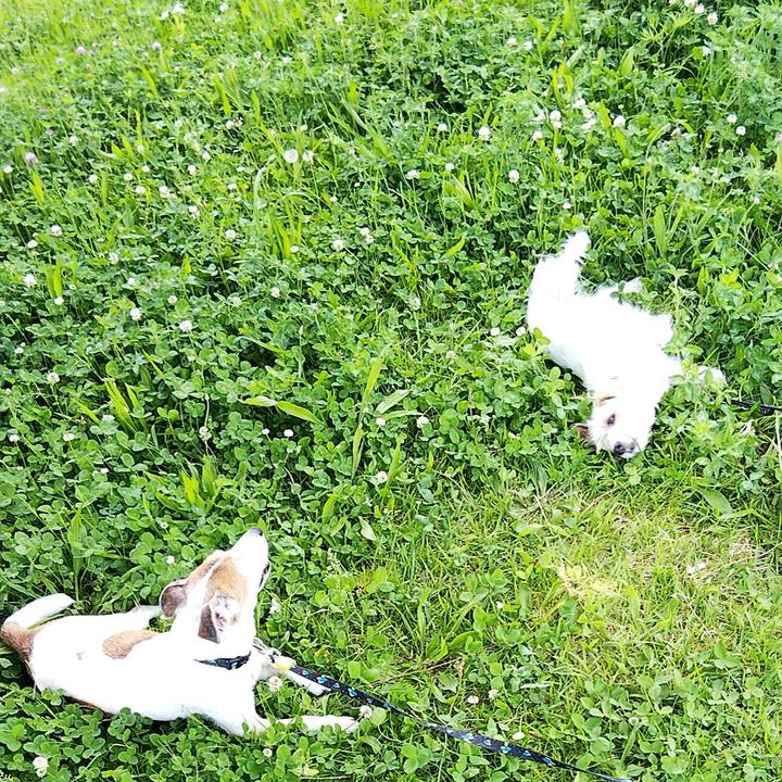 F75dd9cc 0994 4ce9 8e34 3e77effd556f 1557636481737