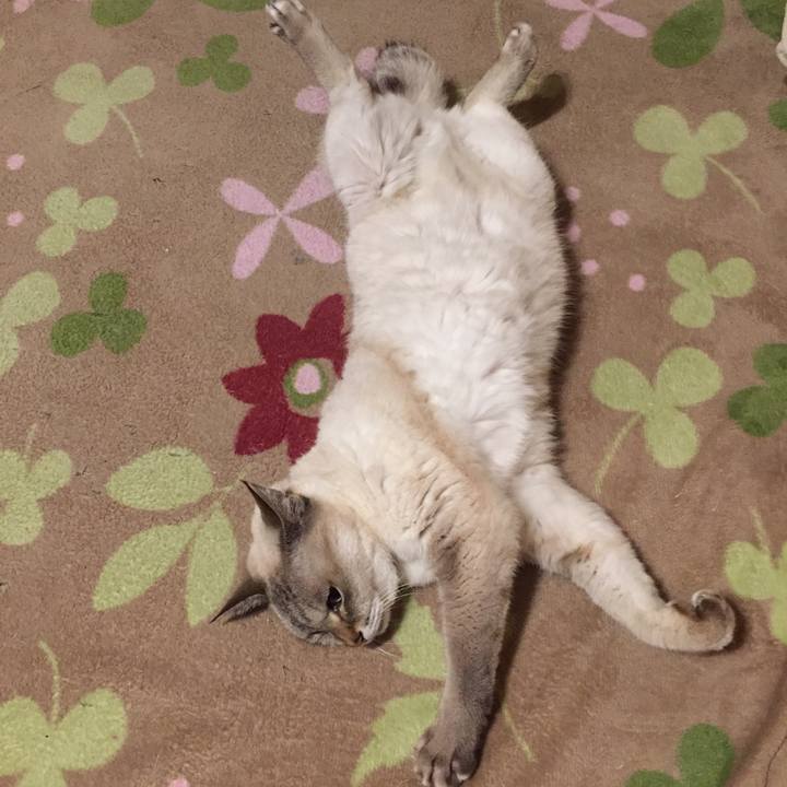 F75dfc24 ae76 47b1 9ebb e163579ee466 1575755136827