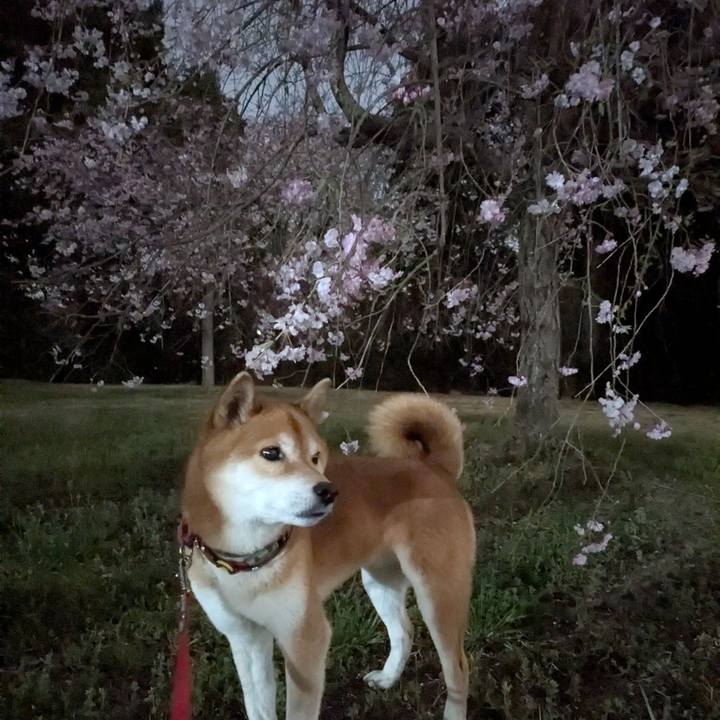 F75e006f 7957 477f b757 44fba45e4dcd 1744204151836