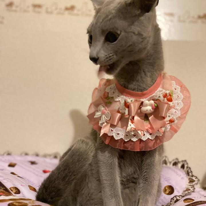 F75e07a6 1a4d 4eaa b5c1 6690198d2bbc 1678105450911