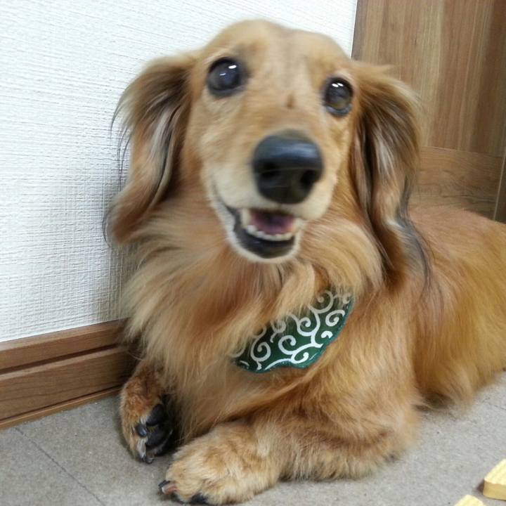 F75e07c1 9bb3 4898 b579 1f9b5a2a99be 1555684066157