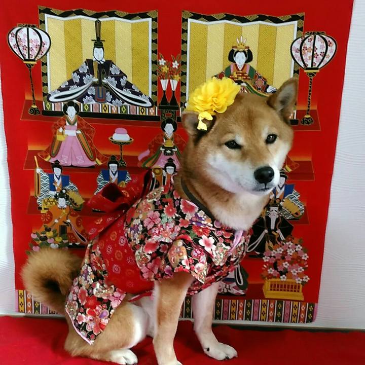 F75e47b2 114c 4e58 a6ae 2891c5438d12 1551616077871