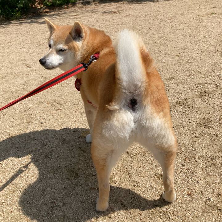 F75e5ed5 7ce8 40a4 bf92 87832b306dcd 1618836640861