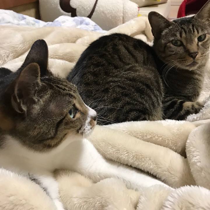 F75e79f0 6681 4365 8e39 10f59f01d750 1513992310784