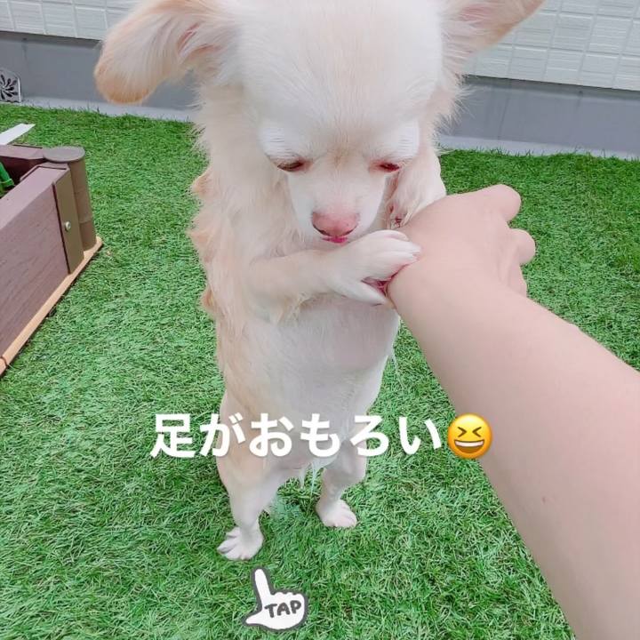 F75e9a87 a88f 4ea8 8da4 4aa69bd6d663 1692101148967