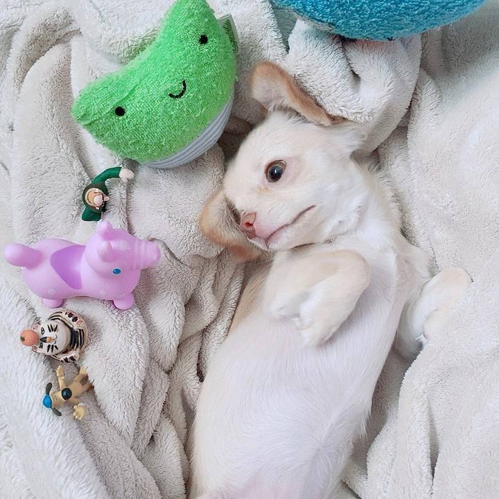 F75eb9f7 f1c5 456a 8fc7 431ed85e8cd3 1594096132626