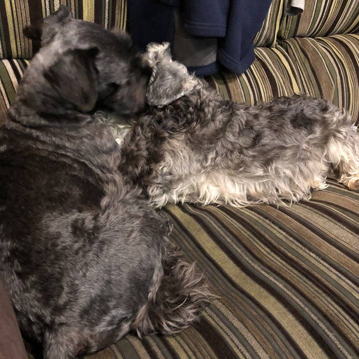 F75ed92b 9dd7 410e a221 1d2c46337f65 1520601341589