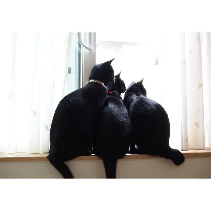 F75f67b3 b335 456b ac10 f1e1cd464e5a 1527032080388