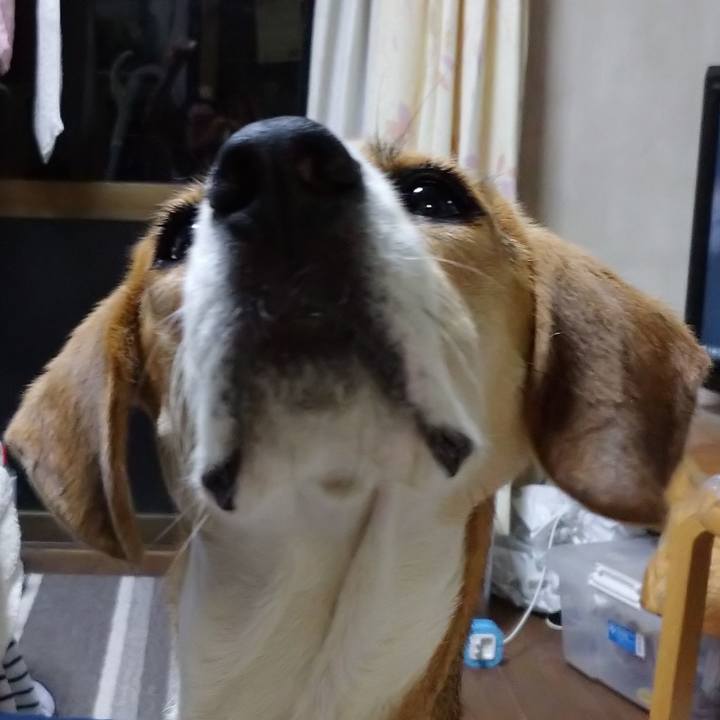 F75f7abe 1559 44e9 928e 648077e987e7 1599043946127