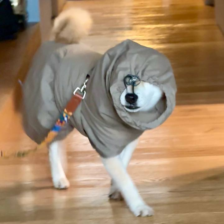 F75fc3f7 a7b0 4396 a9a8 f701e1b4e991 1771984496438