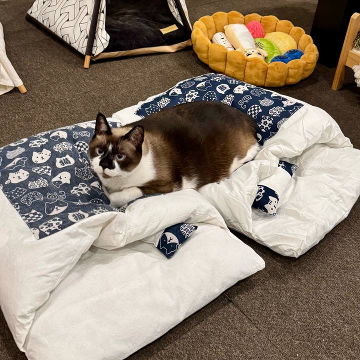 F75fced9 5938 4f62 bb41 4d32c52ed910 1740468873604