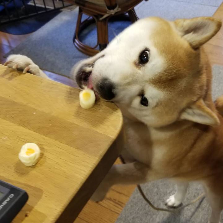 F75ff0ad 5515 4acf ad77 68a6974928a7 1605852713234