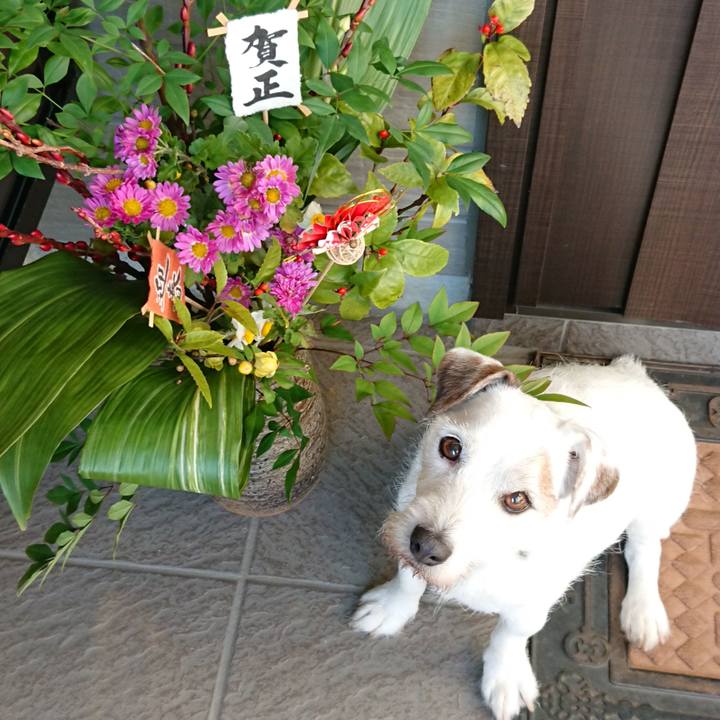 F7600afe 29de 4e13 be59 82b336ff28ce 1577879457179