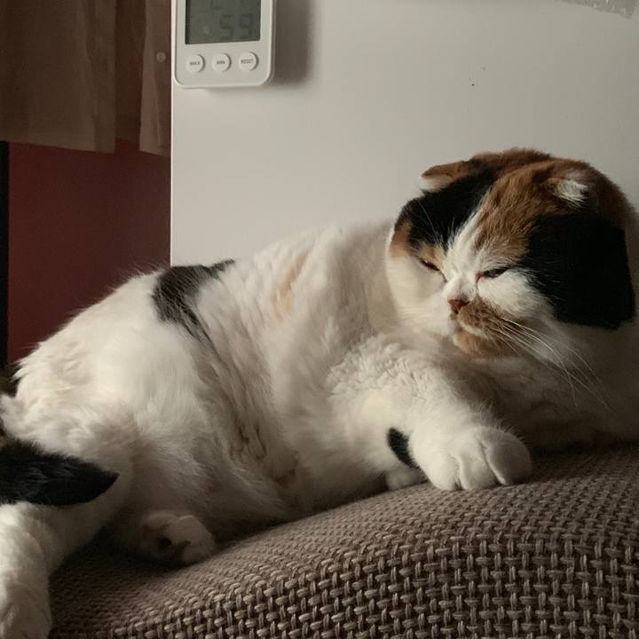 F7603581 6271 4951 b082 fde1ecb6bf95 1566561961713