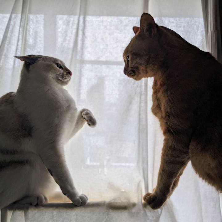 F76043ad 6b8b 46fe b92d b725d8486072 1774829545739