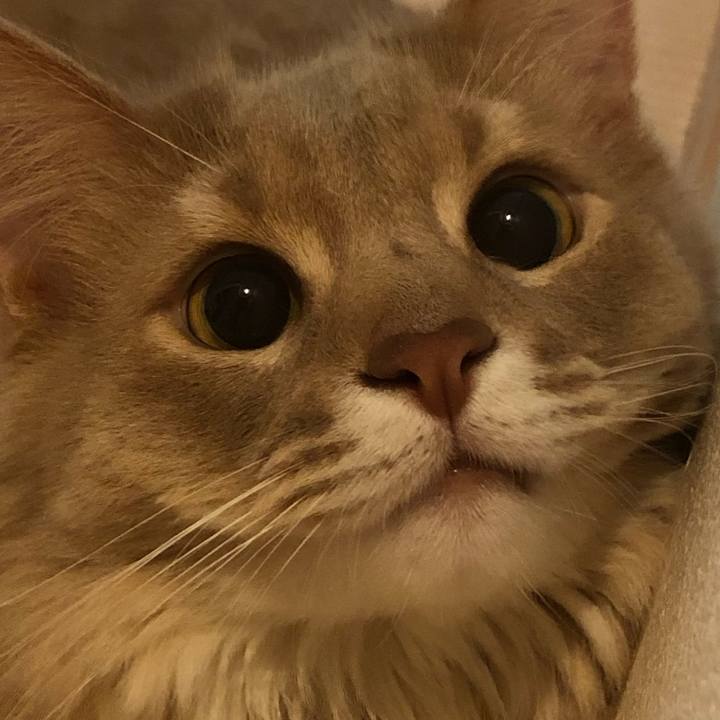 F7608349 b1d2 4aa8 945d c7f0e1ea14bb 1624031316598