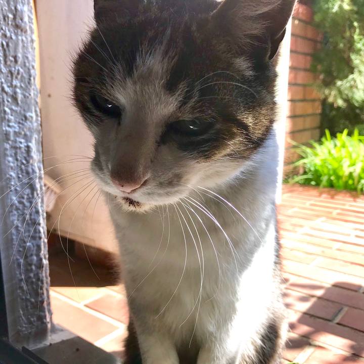 F7608d40 b9ae 4bcb 8297 c686f40e8a3a 1553478670921