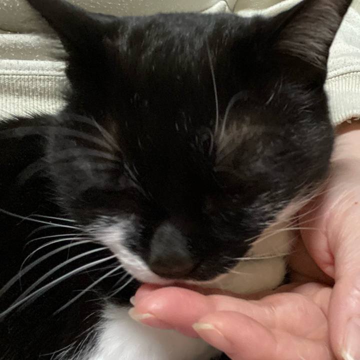 F760e16d 5d32 4e7c 962f 9c947a07c306 1743699833705