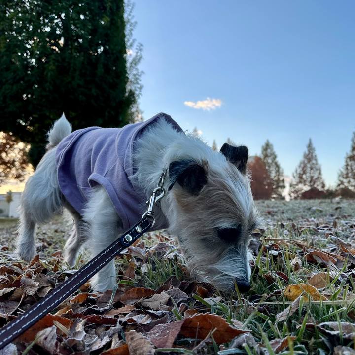 F760f213 d0a8 4d3a b0c3 ae4ae70f58a4 1732693954156