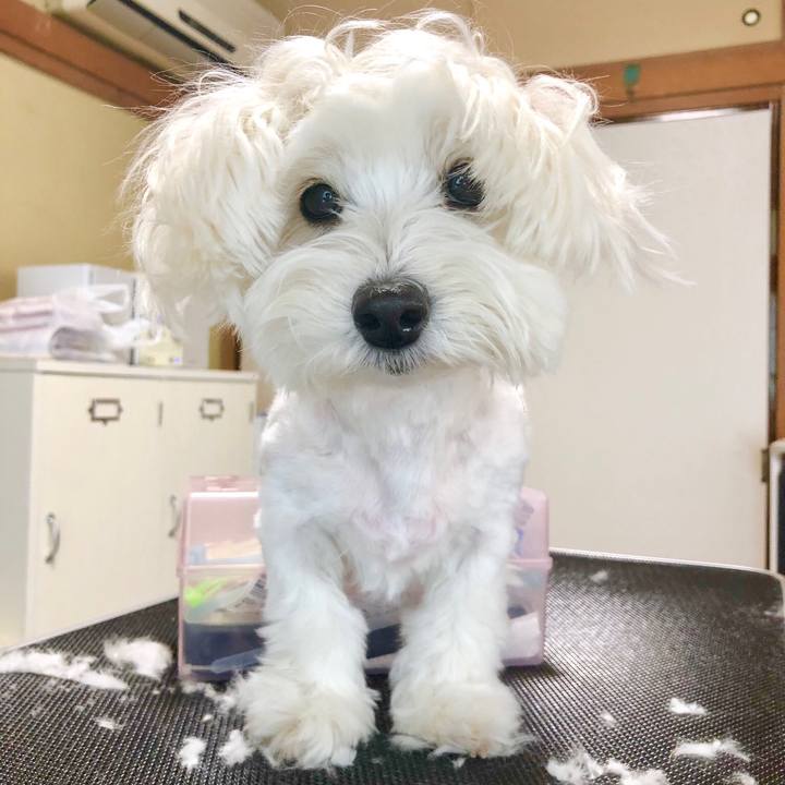 F761515f 82ec 488e a8df ef2eb2f71883 1558599197387