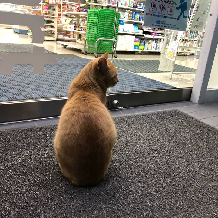 F761541a 07b3 4ebf 9ae7 ea27843691c2 1582122749327