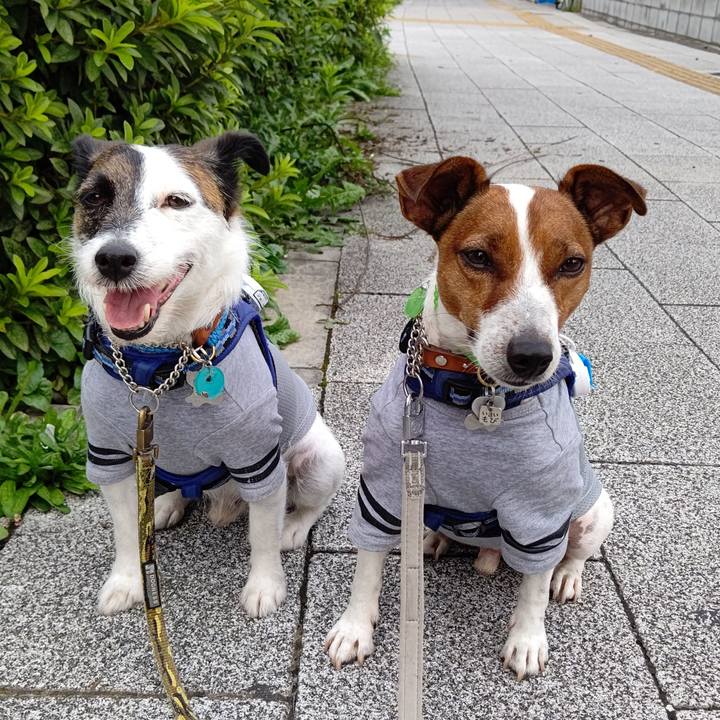 F76159ef a041 42e6 a3e0 73cd5c5b794f 1626213355870