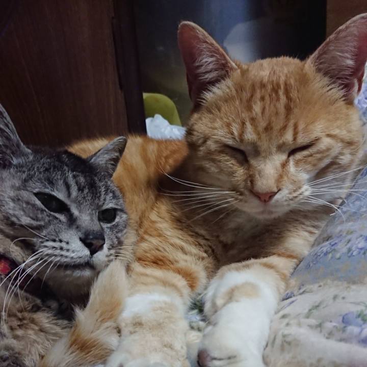 F7617046 32d1 4d52 a152 2225cb9242f1 1589285679247