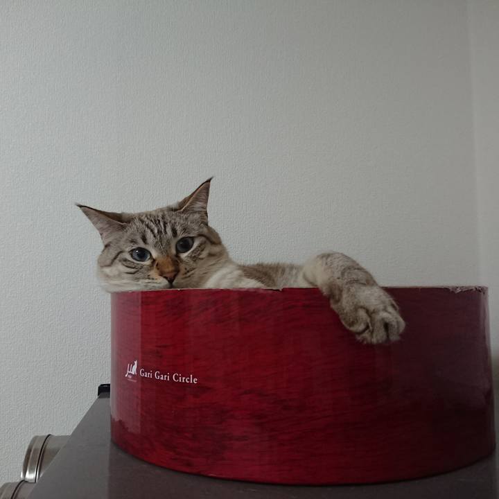 F761a40f 22bb 467b 8a77 6fa1c7671d9b 1536881789165