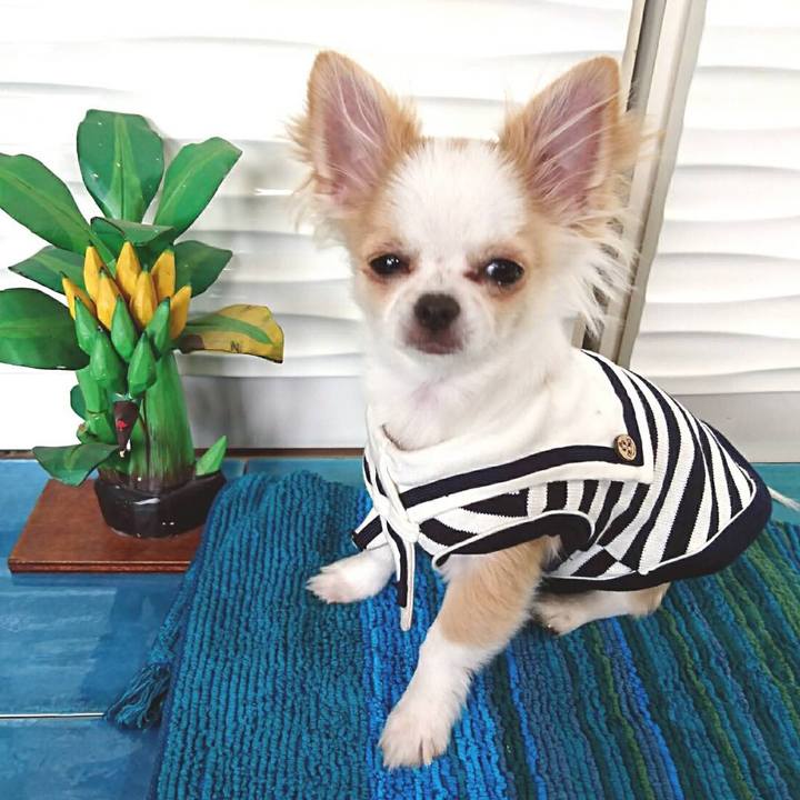 F761b381 6724 4f23 a855 e13a88d80097 1521530781167