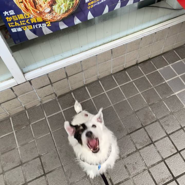 F761d919 6523 44e3 ae53 1467ba342b11 1726702156633