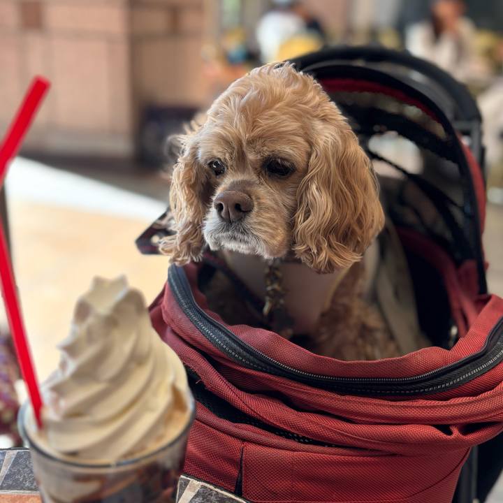 F7623f1d da45 46ef aa9c 4d4f1d1d5278 1775661860366