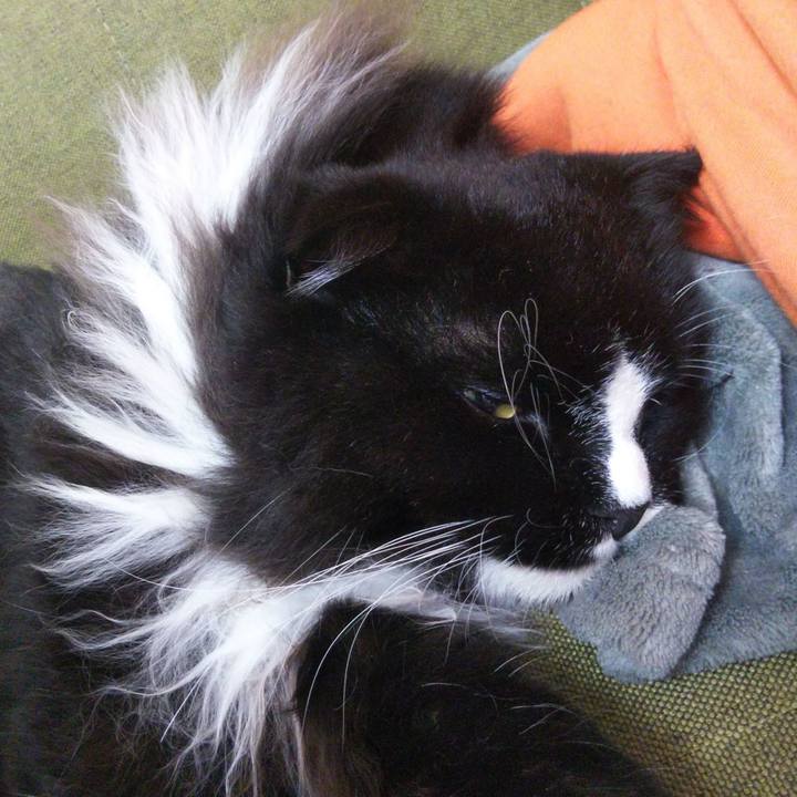 F76259e8 b58b 4063 a68a 7775b0923ec9 1660810001494