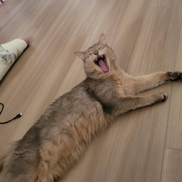 F762695e 5f68 47f4 9b8c d0e503659520 1653215606687