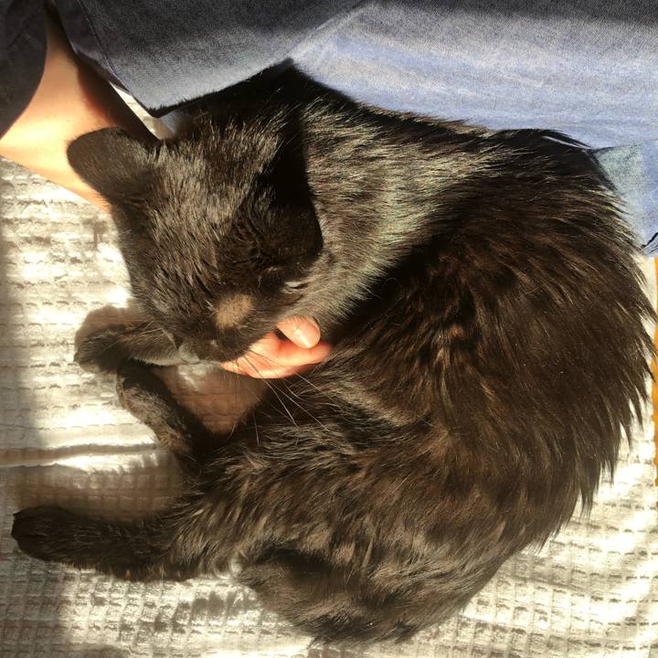 F7626ea3 bc45 4cd4 901a b83a8c671e25 1624745375995