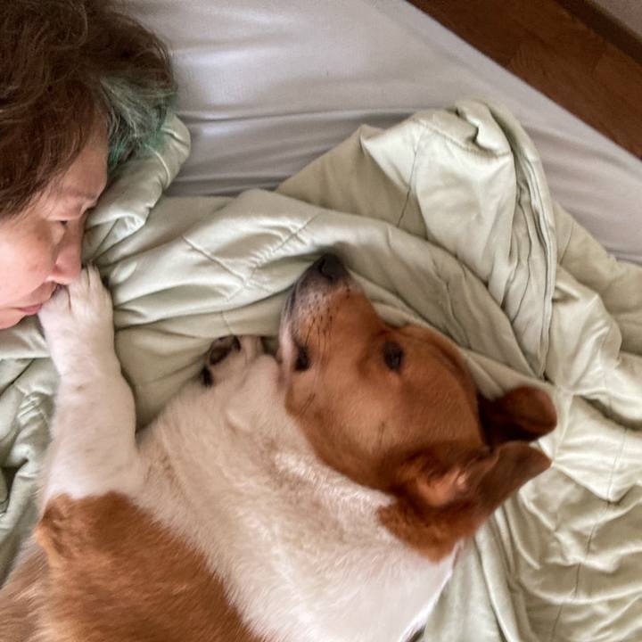 F7627cb1 796b 4c32 9b8f 80659ba9188b 1663720273741