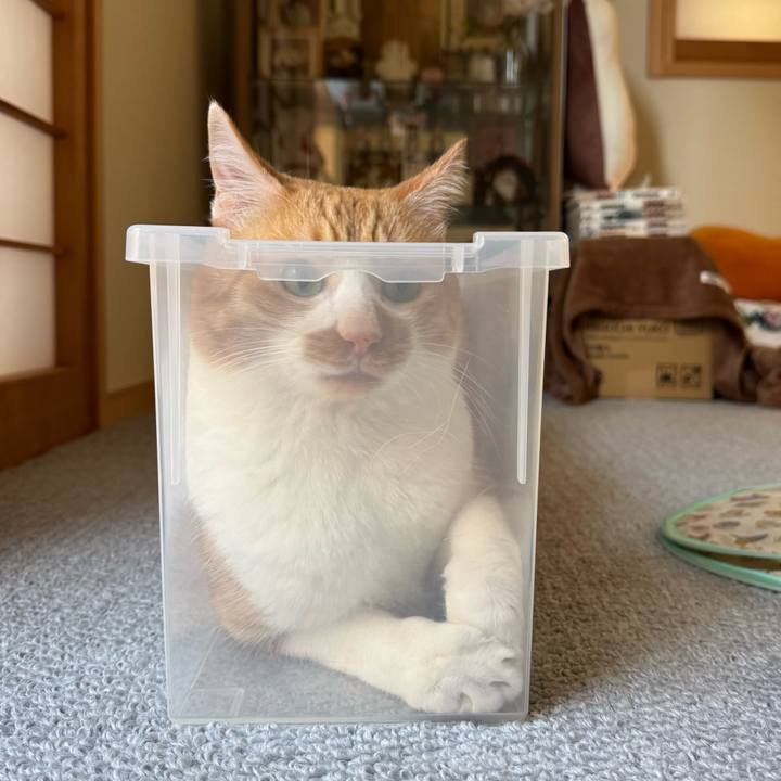 F762a673 4e17 4295 99c5 4fadae3f5671 1762742941431