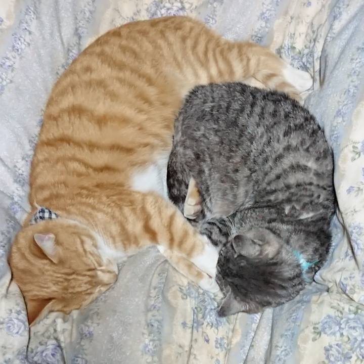 F762ec81 fdff 4c9f a33b dbc63dd6e294 1573304233995