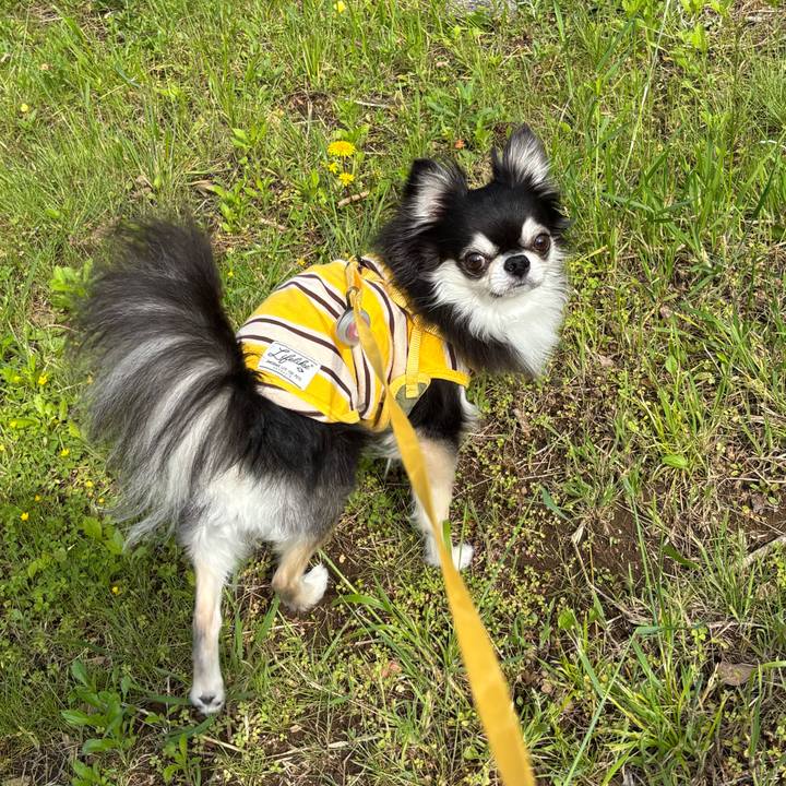 F763d0d9 1697 4981 9f8e c145da8665a6 1746376948501