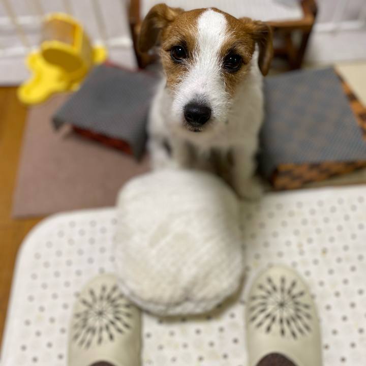 F763e9e4 040a 4a07 a9fb b16aaaa6113d 1732191687757