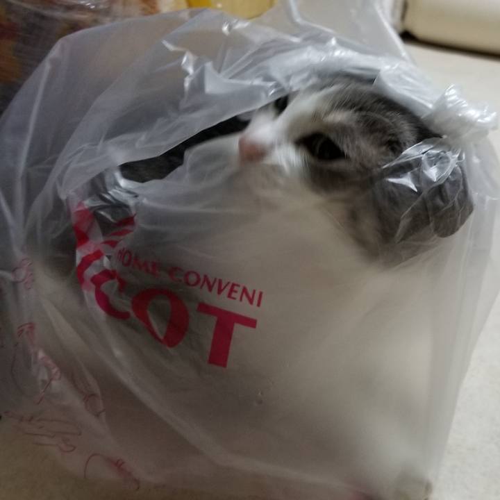 F763fa20 5bf5 4121 9ed6 33f72e45d62c 1561300829887