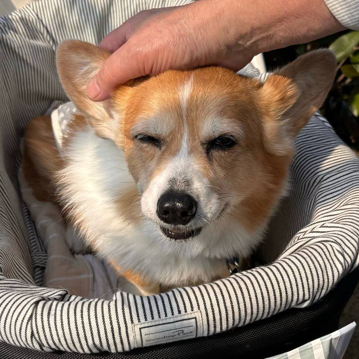 F764137b 68fc 4ddf a8ba 515021c1d75c 1773543625732