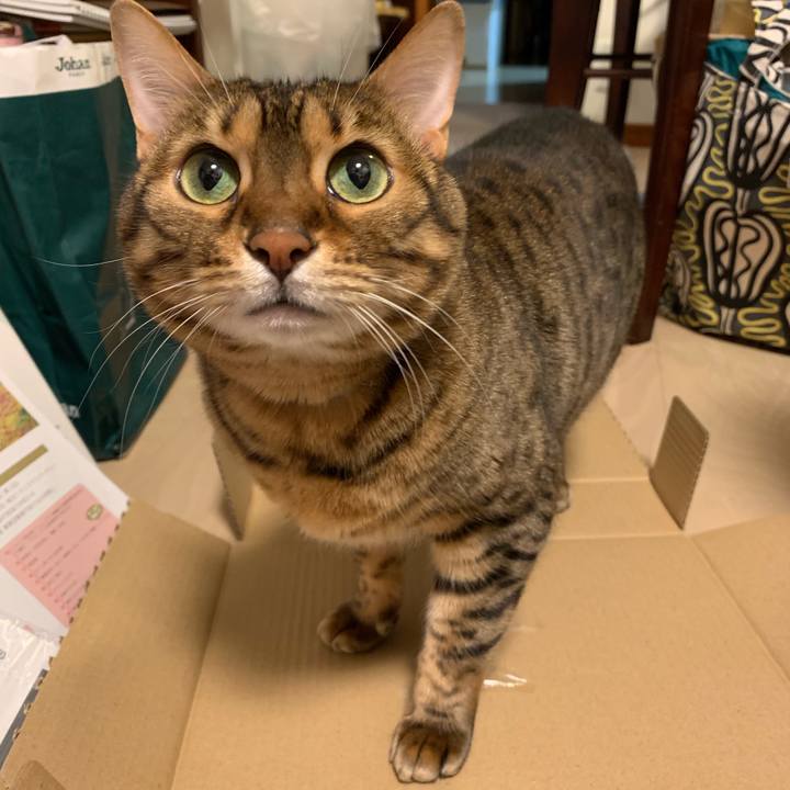 F764895e 39b4 49f6 a307 e569c1718256 1553995002112