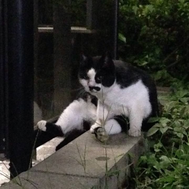 F7648976 5439 461e 98e6 bd1a64cc7208 1507643492867